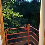 Apartament Buzavirag Szentbekkalla
