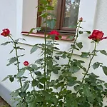 Apartament Buzavirag Szentbekkalla