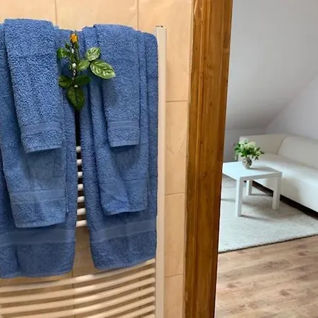 Búzavirág