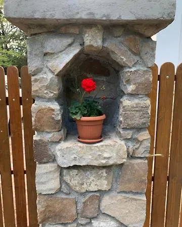 Búzavirág *