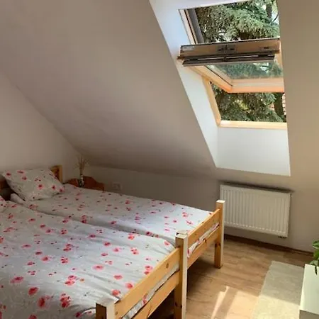 Buzavirag * Szentbekkalla