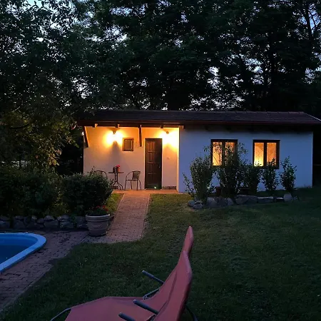 Buzavirag Szentbekkalla