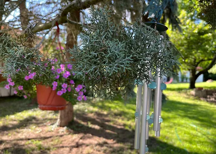 דירה Buzavirag סנטבקאלה